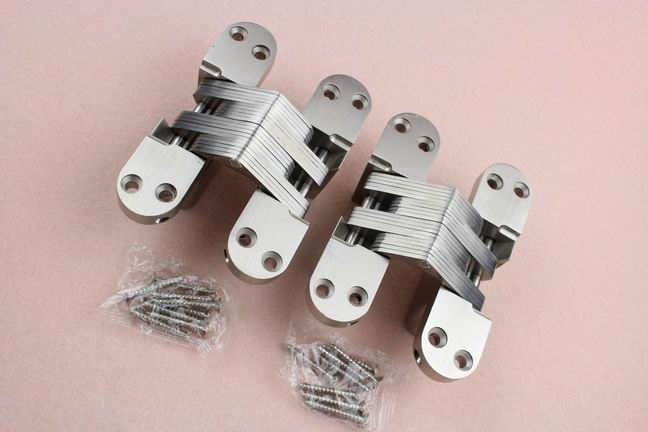 50 kg capacity Heavy duty door zinc alloy concealed hinge